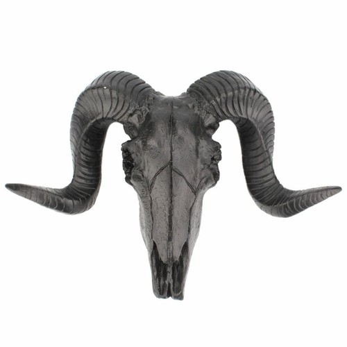 Sheep skull head wall mounted - sheep,