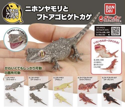 New bandai gashapon bearded - bandai,