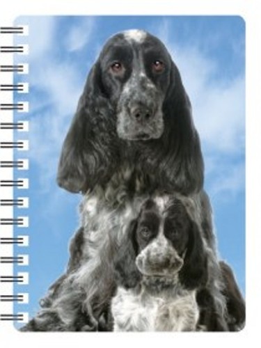 Cocker spaniel with puppy - puppy, 3d