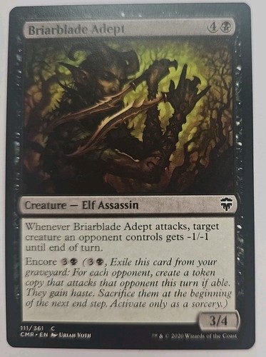 Mtg magic the gathering - the,