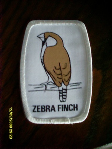 Brand new cloth badge a - brand,