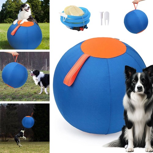 Dogs herding ball - dogs,