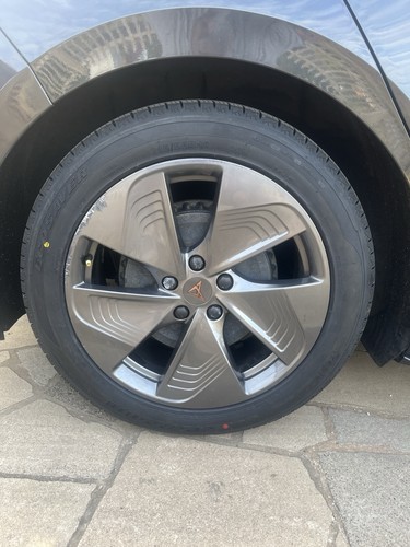 Genuine cupra born - cupra,