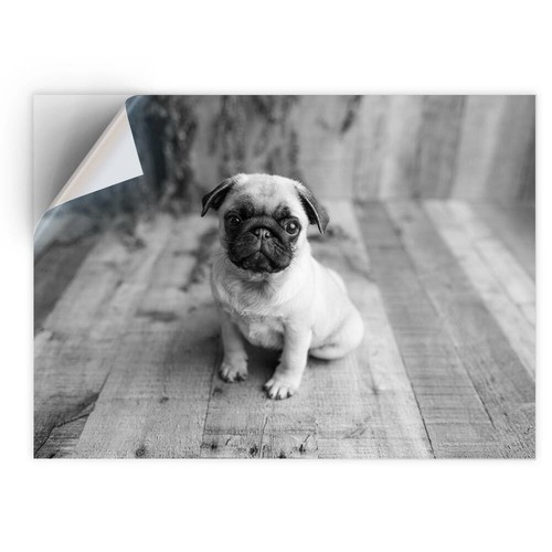 Vinyl sticker bw - sticker,