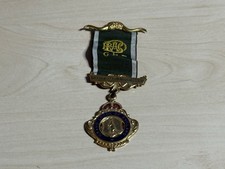 RAOB Royal Antediluvian Order of Buffaloes Salt Reach Lodge 8010 Jewel Medal