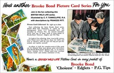 Brooke Bond Advert. 'Adobe
