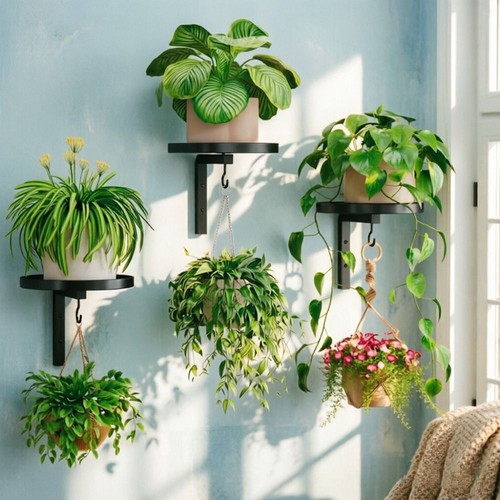 Potted plant display - potted, stand