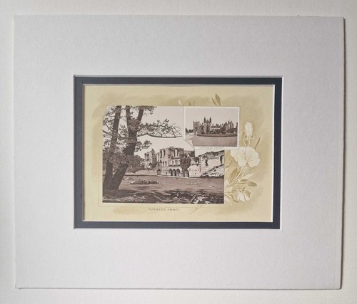 Ormiston furness abbey - ormiston,