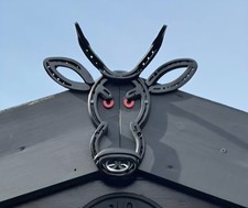 Horseshoe Raging Bull