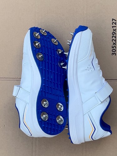 Vector cricket shoes - vector, spikes