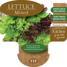 Lettuce Plants - 'Mixed' 6 X