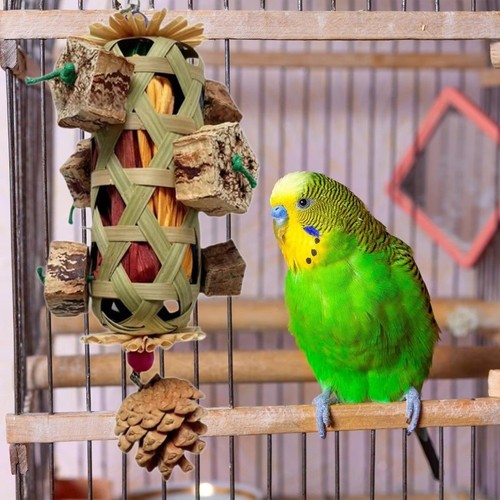 Parrot hanging swing bird - parrot,