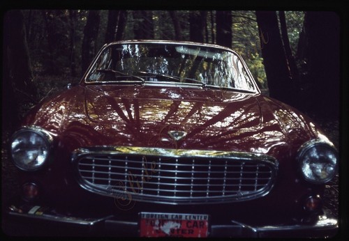 Volvo p1800 car red - red, woods