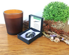 100% Genuine Orthoceras