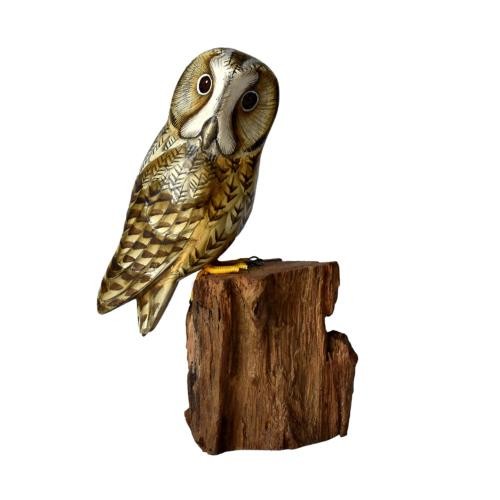 Tawny owl tree - owl, hand