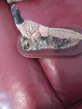 Special Collectors Edition