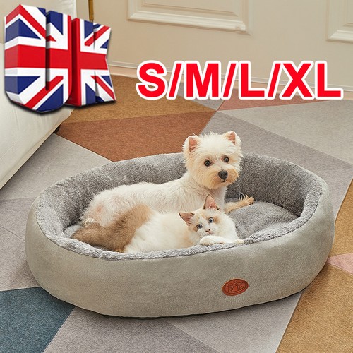 Pet dog bed cat - cat, beds