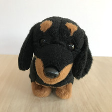 Animal alley dachshund dog - animal,