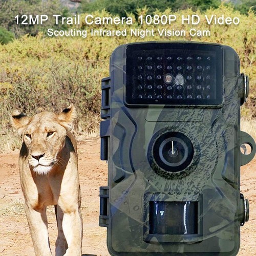 For wildlife observation - observation, hd