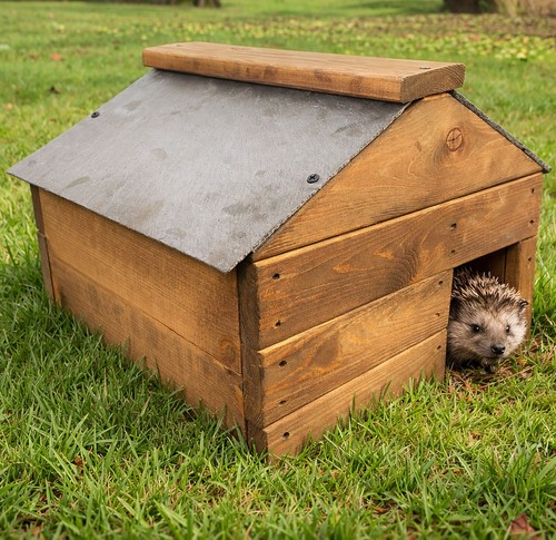 Hedgehog hibernation shelter - hibernation,