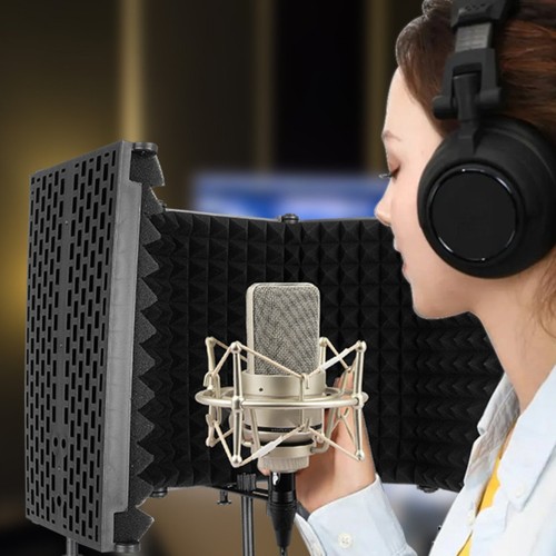 Audio recorder isolation - audio,