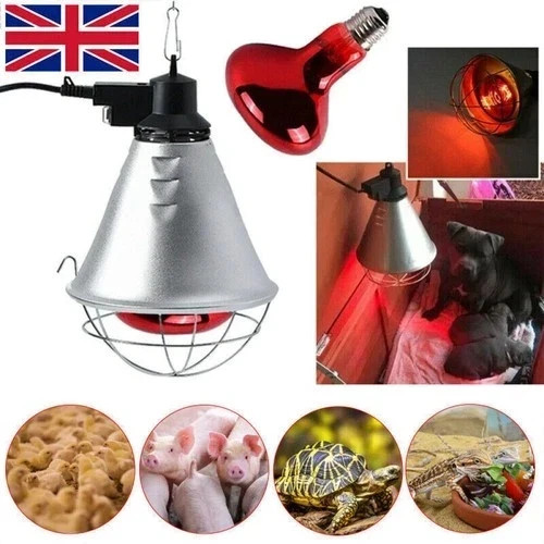 250w infrared heat lamp - infrared,
