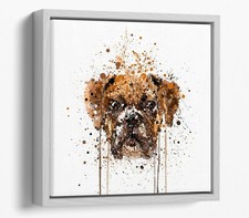 BOXER DOG SPLASH ART SQUARE