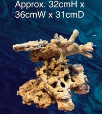 Marine Aquascape Figi Tonga