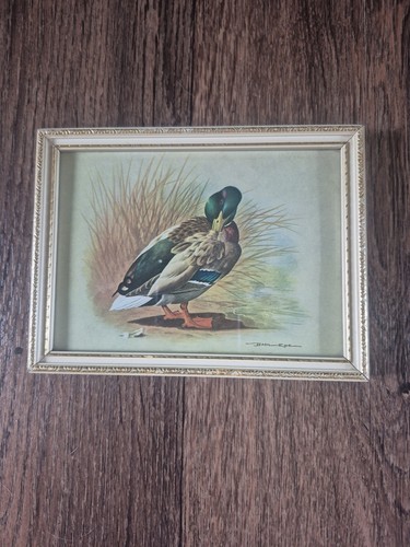 Vintage basil ede framed print - basil,
