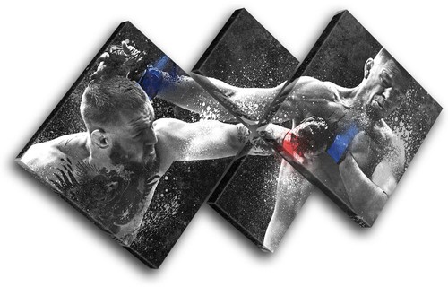 Conor mcgregor nate - conor, ufc