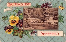 FAMILY HISTORY - POSTCARD -