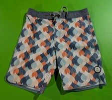 Roark Revival Board Shorts
