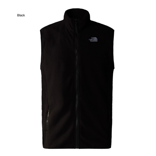 The north face - mens, 100