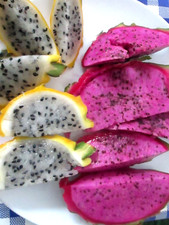 2 VARIETY DRAGON FRUIT