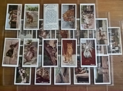 Typhoo tea trade cards zoo - typhoo, cards: