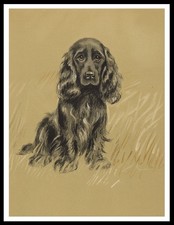 COCKER SPANIEL LOVELY DOG ART