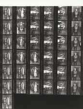 Contact Photo Sheet &