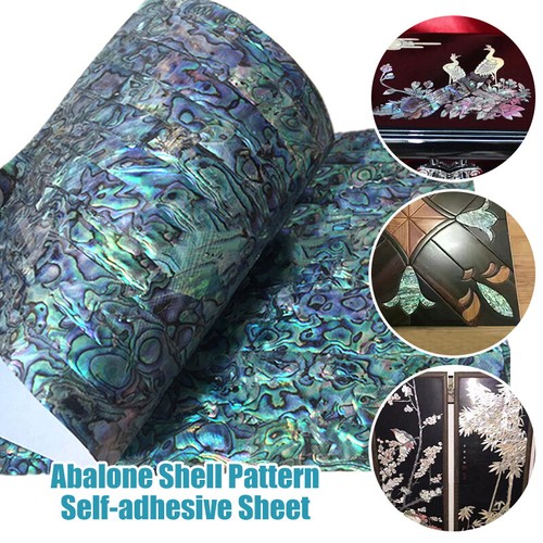 240mm abalone shell - 240mm, veneer