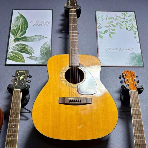 Yamaha 200 green - fg-200, label
