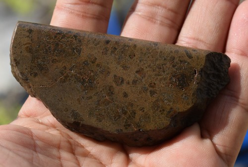 Nwa howardite meteorite slice - nwa,