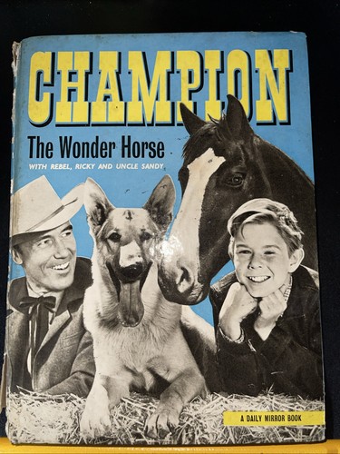 Champion the wonder - wonder, horse