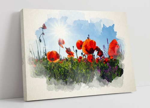 Poppy field landscape - field,