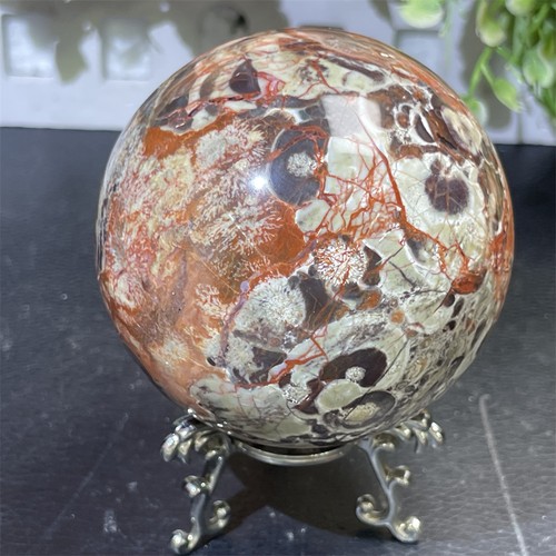 1lb natural money agate - 2.8",