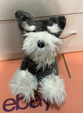 Schnauzer Messy Woolly Puppy