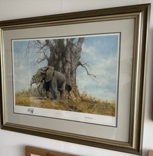 “Baobab and Friends”