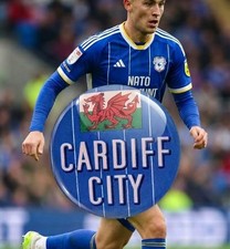 Cardiff City - Small Button