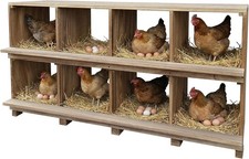 Chicken Nesting Box 8