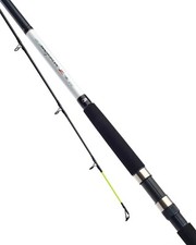Daiwa Seahunter Z Sea Bass /