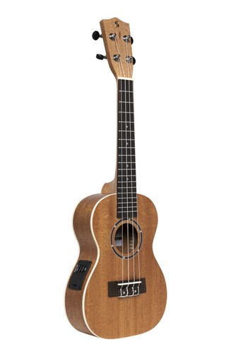 Acoustic electric concert - acoustic-electric,