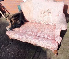 Edwardian/Victorian Camelback